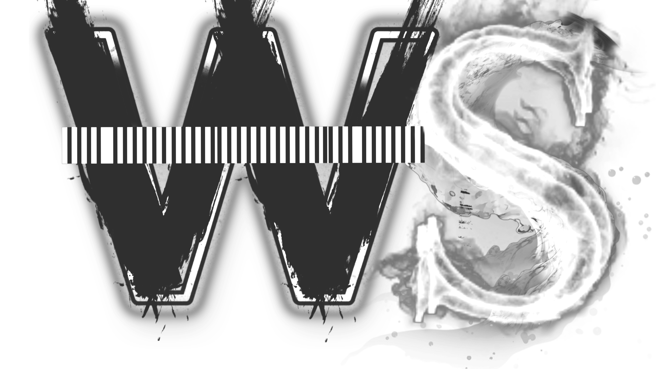 WS MUSIC GROUP